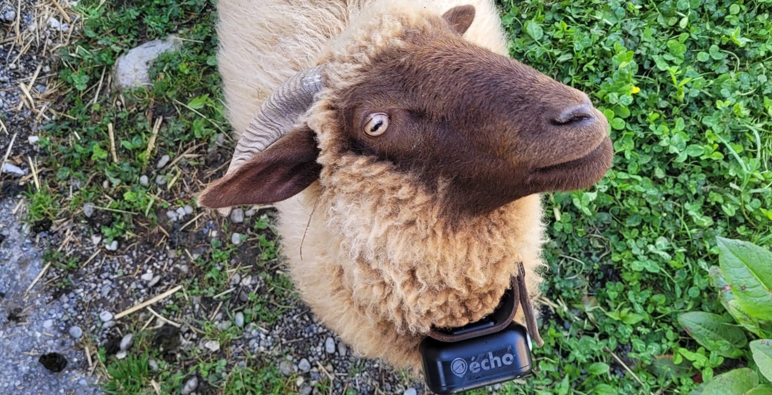 Kraftleben SatCom terrain